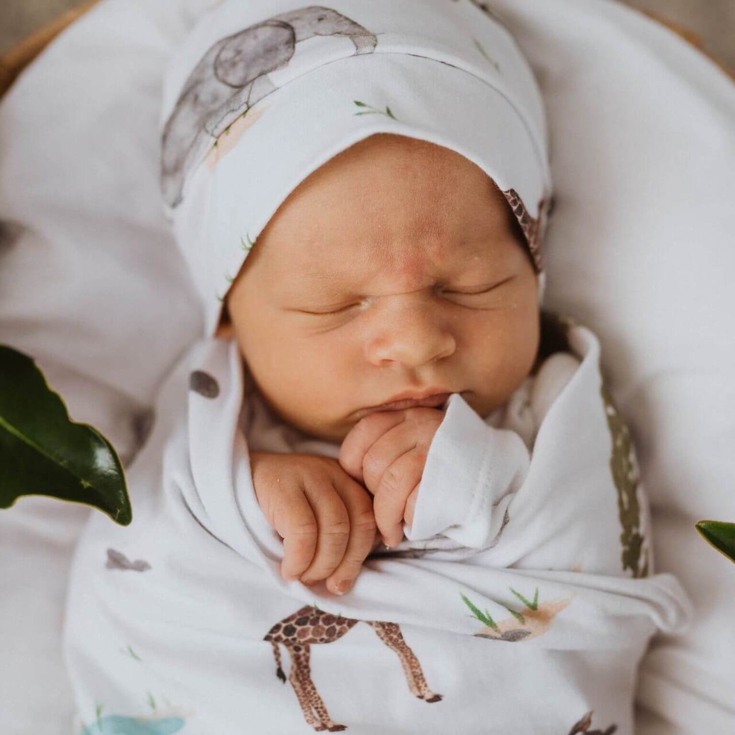 Safari | Baby Cotton Jersey Wrap + Beanie