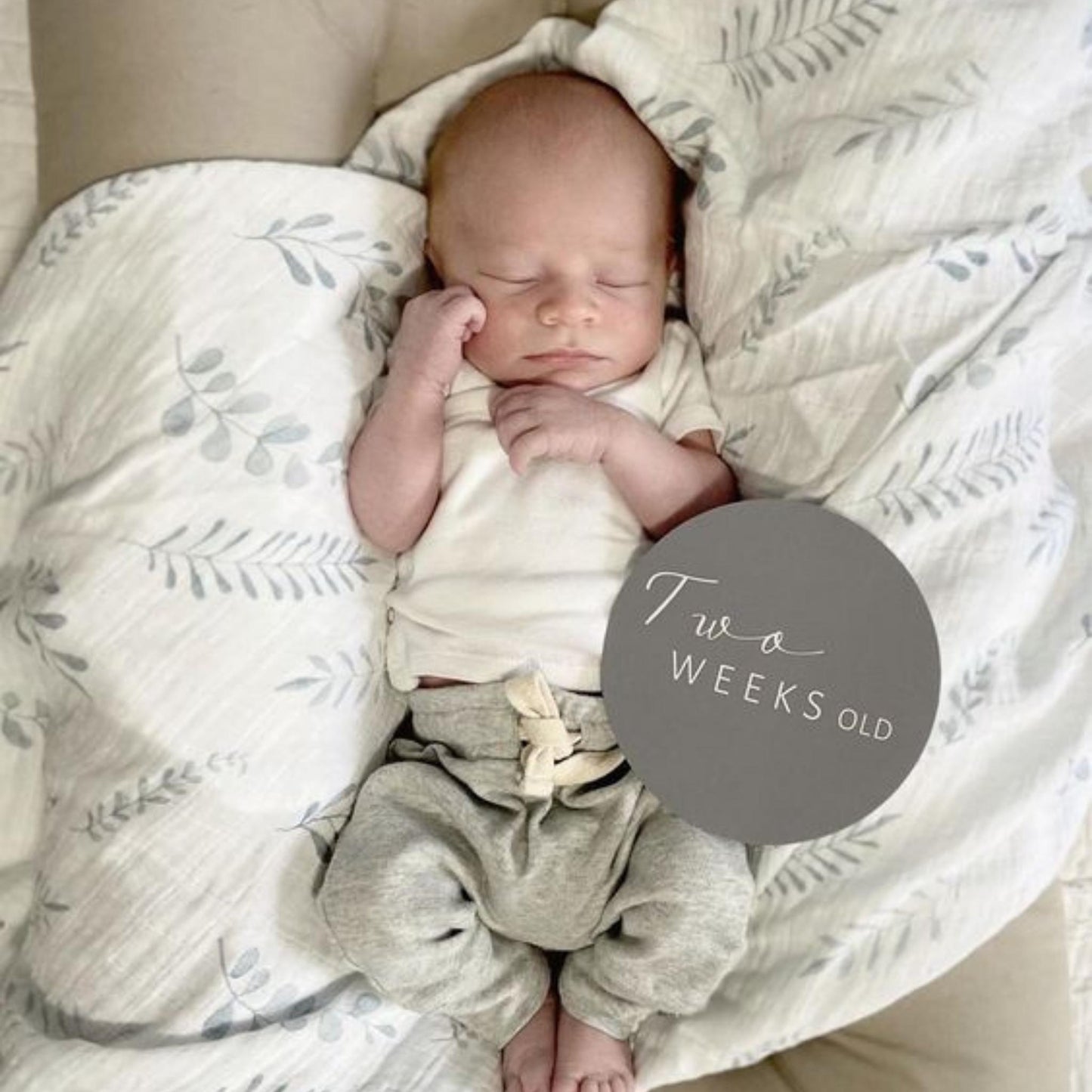 Wild Fern | Organic Cotton Muslin Wrap