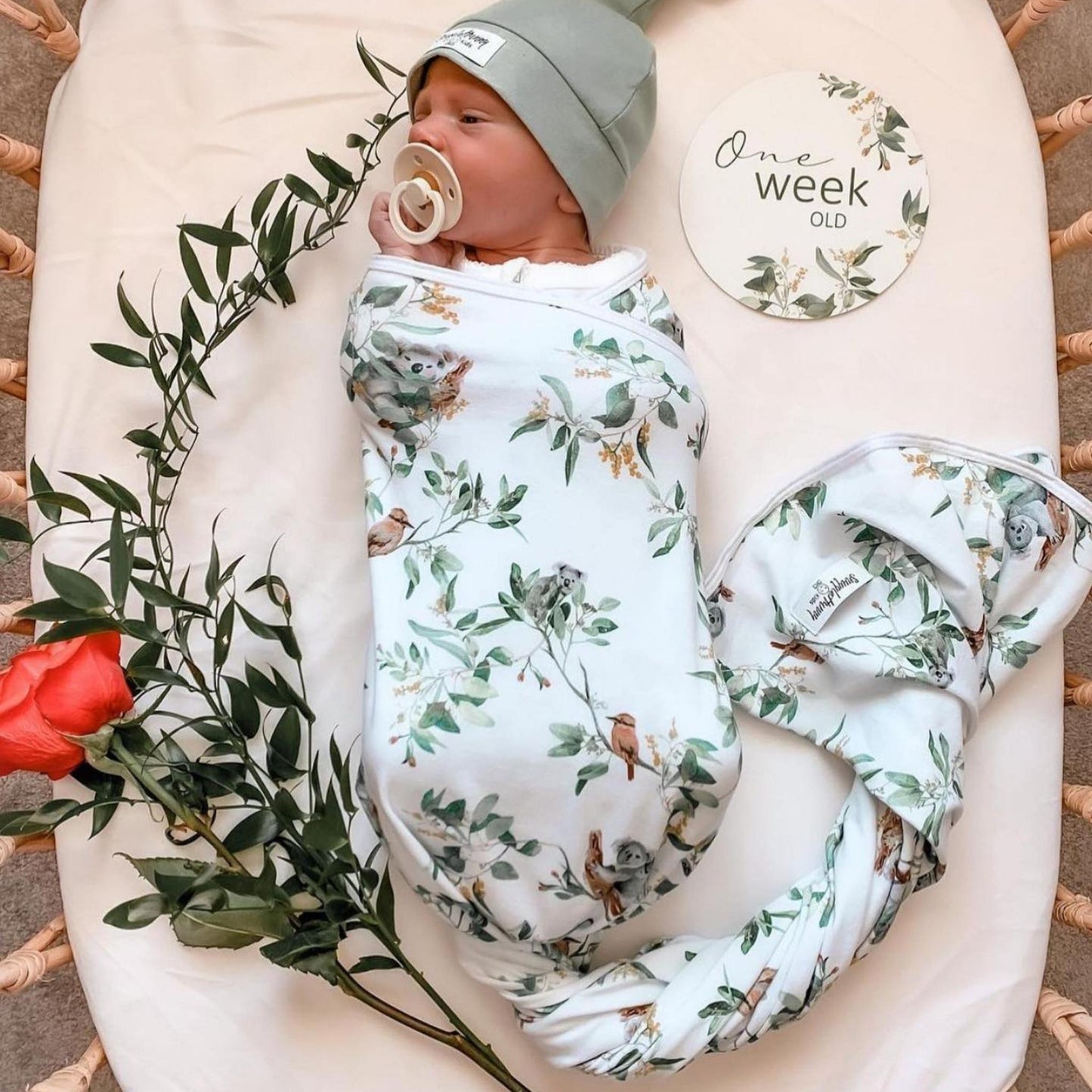 Eucalypt | Baby Cotton Jersey Wrap + Beanie